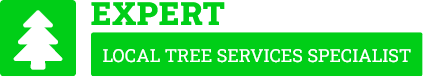 Invercargill Arborist - Tree Removal Invercargill