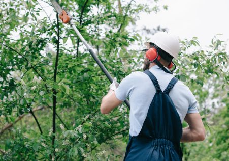 Tree Pruning